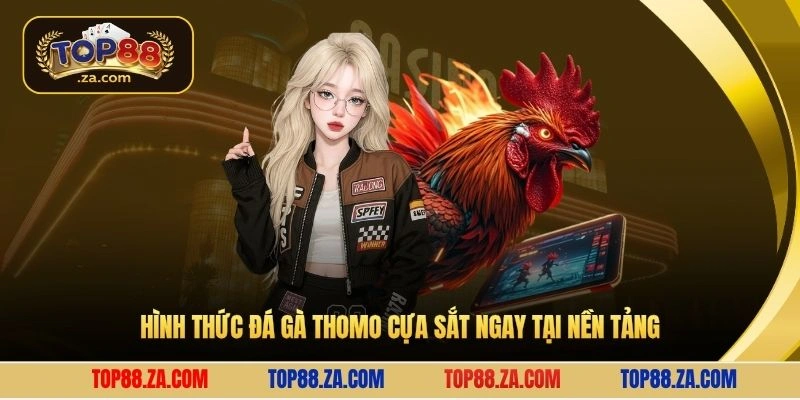 Hình thức đá gà Thomo cựa sắt ngay tại nền tảng