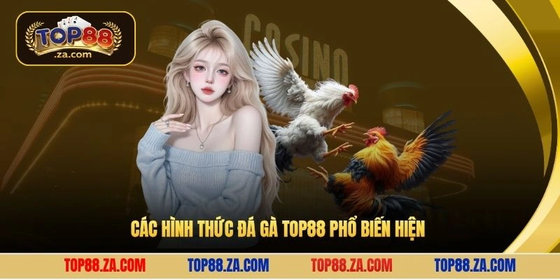 Các hình thức đá gà Top88 phổ biến hiện 
